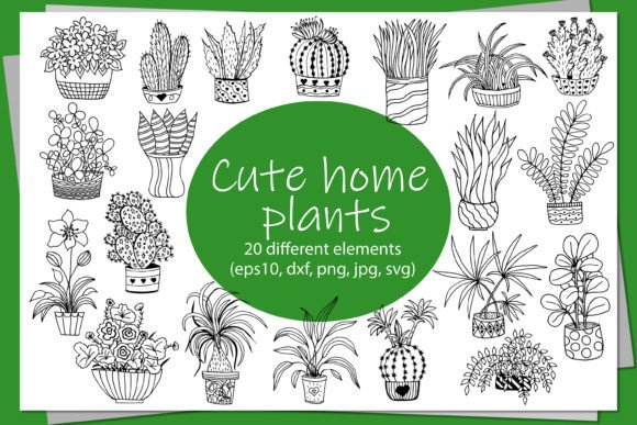Cute Houseplants in Doodle Style: Graphics & Illustrations for Local Brands