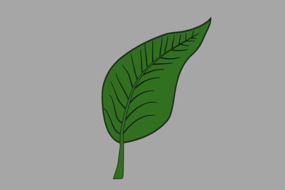 Green Leaf Svg Vector Clipart for Graphics and Illustrations